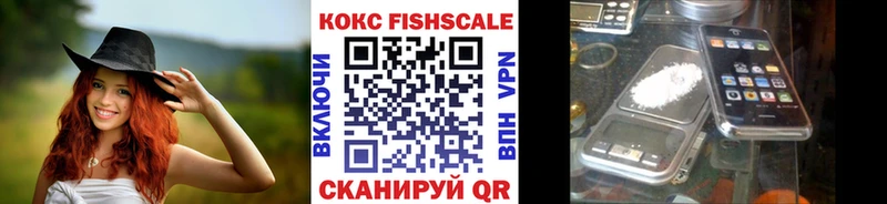 Купить закладки  Салават  Кокаин FishScale 