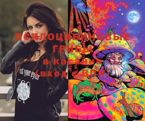 метадон Нея