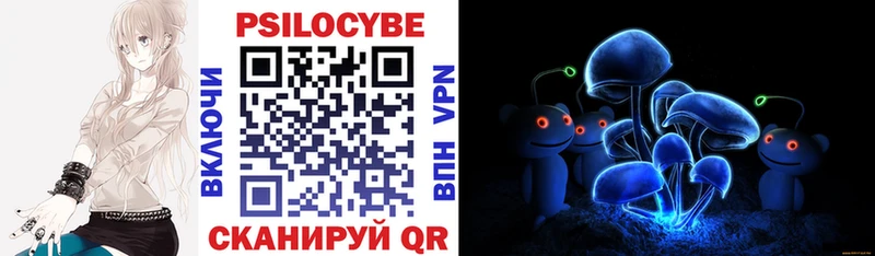 Купить где  Салават  Галлюциногенные грибы мицелий 